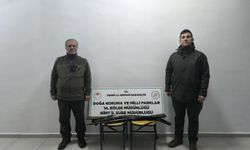 Siirt’te kaçak avcılara 23 bin 766 lira para cezası kesildi