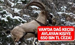 Van’da kaçak avcıya 650 bin TL ceza!