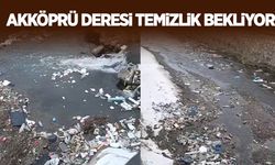 Van Akköprü Deresi temizlik bekliyor