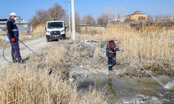 Van'da vektörle mücadele çalışmaları başladı