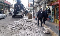 İpekyolu’ndaki sokaklarda buz temizliği