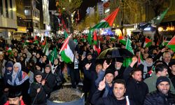 Van’da Filistin için yürüyüşü düzenlenecek