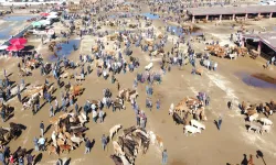 Kurban piyasasında fiyat istikrarsızlığı…