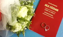 Aile Gençlik Fonu'na 100 bin 142 kişi başvurdu