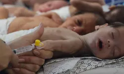 Gazze'de bebekler açlıktan ölüyor