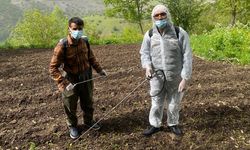 Van'da çekirgeyle mücadele çalışması…