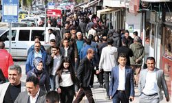 Van hane halkı büyüklüğünde 8. sırada…