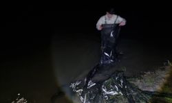 Van’da 1 ton inci kefali ele geçirildi!