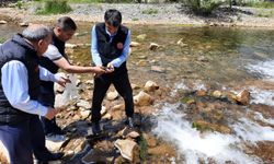Van İl Tarım ve Orman Müdürlüğü İnci Kefalleri için denetim yaptı