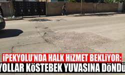 İpekyolu’nda halk hizmet bekliyor: Yollar köstebek yuvasına döndü
