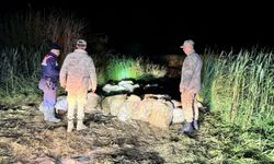 İnci Kefali Kaçak Avcılığına Geçit Yok