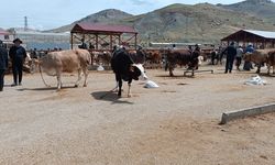 Tuşba’da kurban satış ve kesim yerleri açıklandı