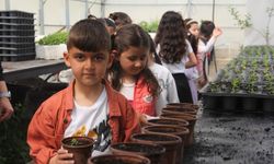 İlkokul öğrencileri Van Büyükşehir’in seralarını gezdi