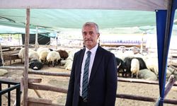 Tahmazoğlu: Kurban Bayramı'nda fahiş fiyat artışlarına asla müsaade etmeyeceğiz