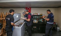 Van'daki kafelere denetim: Tarihi geçmiş ürünler imha edildi!