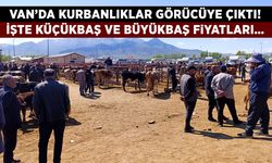 Van’da kurbanlıklar görücüye çıktı! İşte küçükbaş ve büyükbaş fiyatları…