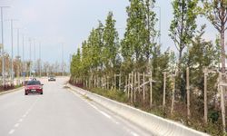 Van Sahil Yolu'na bahar dokunuşu