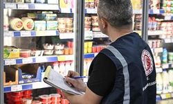Sağlığa zararlı 40 ton ürünün satışı engellendi