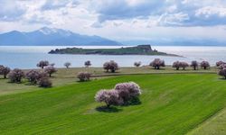 Çarparak Adası’na nasıl gidilir? Van merkeze kaç kilometre uzaklıkta?