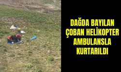 Van’da dağda bayılan çoban helikopter ambulansla kurtarıldı