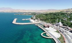 Van'da hava sıcaklıkları arttı?
