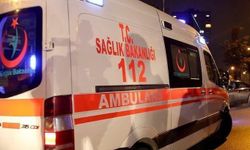 Hafif ticari araç dereye devrildi: 2 ölü, 1 yaralı