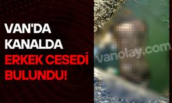 Van'da şok olay! Sulama kanalında ölü bulundu!