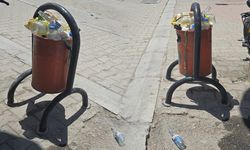 Van’da çöp sorunu giderek büyüyor! Çöp kutuları dolup taştı