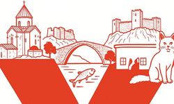 Van, TEDx sahnesine ev sahipliği yapacak