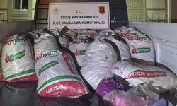 Erciş’te 2 ton kaçak Van Balığı ele geçirildi