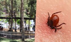 6 kişi hayatını kaybetti: KKKA'ya karşı dikkat edilmesi gerekenler?