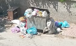 Van’ı kötü koku sardı!