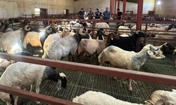 Müdür Şişman’dan üreticilere ziyaret…