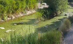 Tarihi Şamran Kanalı çöplük içinde…