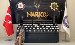 Van'da zehir tacirlerine geçit yok: 20 kilo skunk ele geçirildi, 3 kişi gözaltında