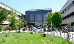 Van Bölge Hastanesi plastik cerrahi doktorları