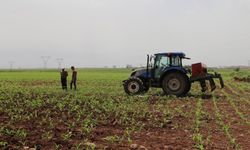 Çiftçilere müjde! Ödemeler başladı