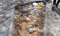 Van’da mesire alanı çöplüğe döndü!