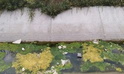 Van’ın tarihi kirleniyor: Şamran Kanalı can çekişiyor