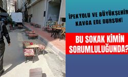 Van’daki bu sokak kimin sorumluluğunda?