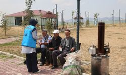Van’da yaşlılara yönelik geziler sürüyor