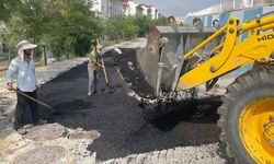 Tuşba Belediyesi’nden akıllara ziyan çalışma