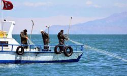 Av yasağı 1 Eylül'de sona eriyor