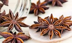 Anason Nedir? Ne İşe Yarar?
