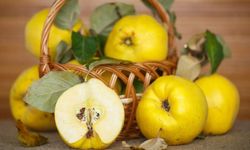 Ayva Yemenin Faydaları Nelerdir? Hangi Vitaminleri İçerir?