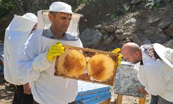 Van’da bal sezonu Çatak’ta açıldı