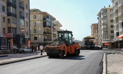 Van Terzioğlu Caddesi’nde Asfalt Serimi Başladı