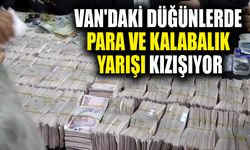 Van'daki düğünlerde para ve kalabalık yarışı kızışıyor