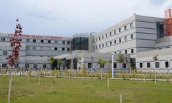 Van Yüzüncü Yıl Üniversitesi Cildiye Doktorları