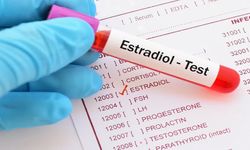 Estradiol Nedir? Kadınlarda Ne İşe Yarar?